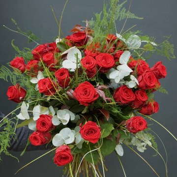 A-Be-My-Love-Phlox-Flowers-London